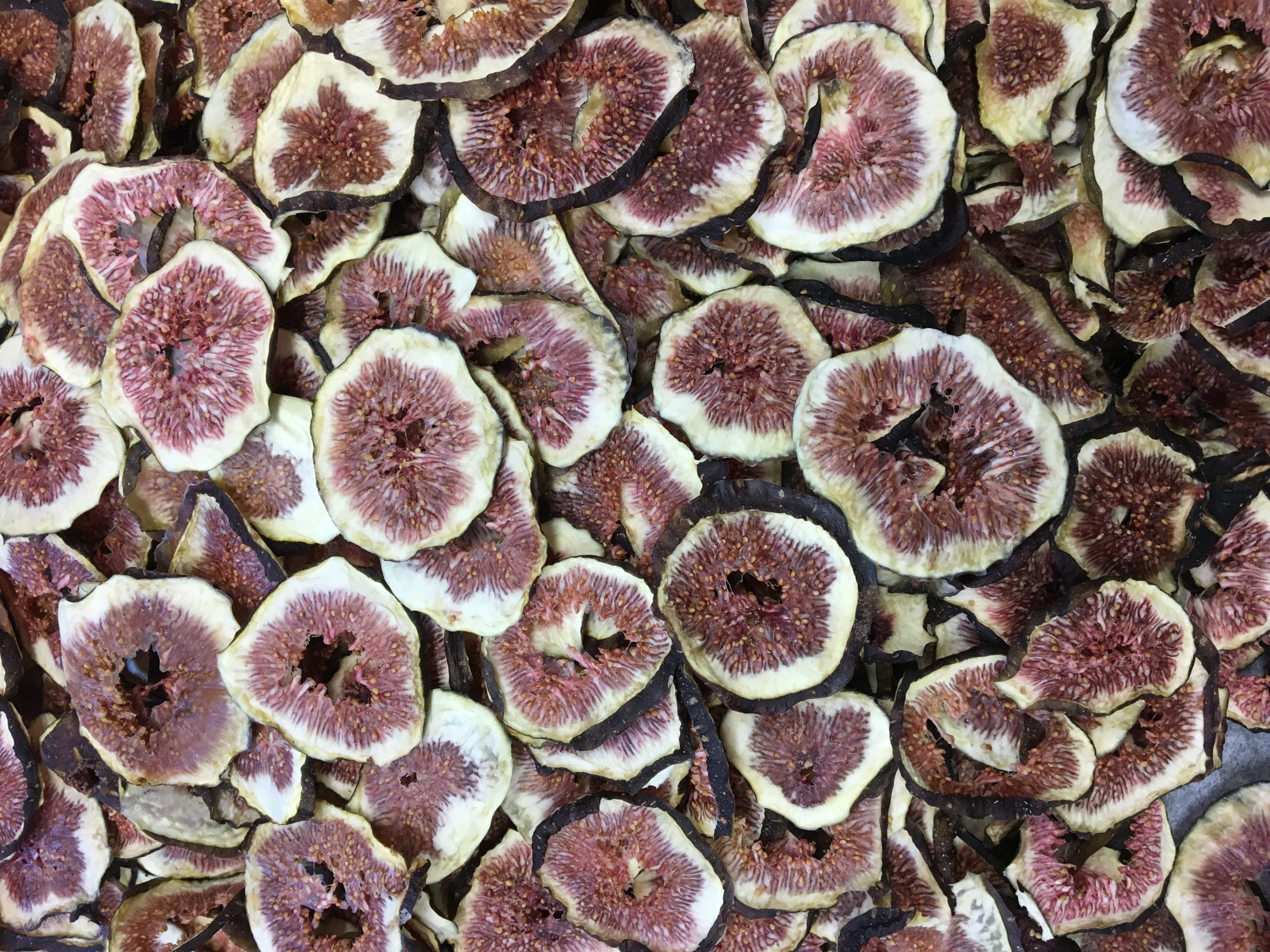 dryfig